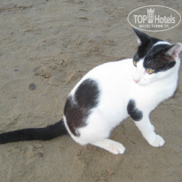 фото из отзыва ID 988854