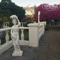 фото из отзыва ID 988468