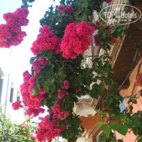 фото из отзыва ID 988854