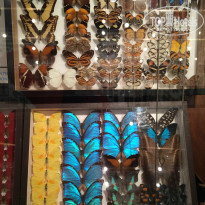 фото из отзыва ID 988468