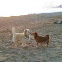 фото из отзыва ID 988854