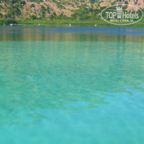 фото из отзыва ID 988854