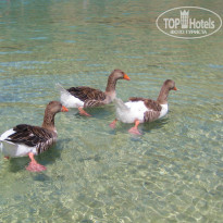 фото из отзыва ID 988854