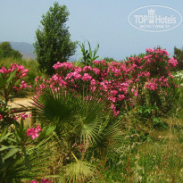 фото из отзыва ID 988854