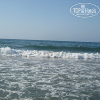 фото из отзыва ID 988854