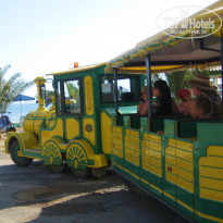 фото из отзыва ID 988854