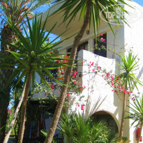 фото из отзыва ID 988854