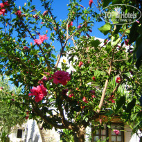 фото из отзыва ID 988854