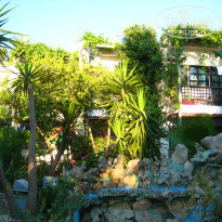 фото из отзыва ID 988854