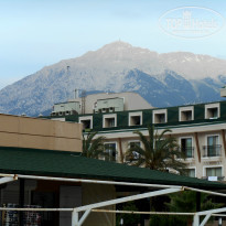 фото из отзыва ID 989060