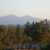 фото из отзыва ID 989139