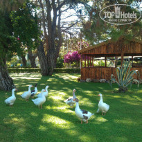 фото из отзыва ID 989283