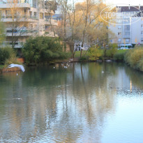 фото из отзыва ID 989328