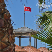 фото из отзыва ID 989369