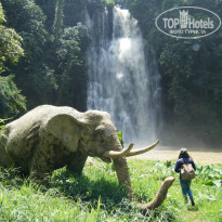 фото из отзыва ID 989345