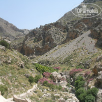 фото из отзыва ID 989590