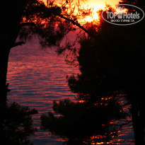 фото из отзыва ID 989633