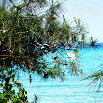 фото из отзыва ID 989633