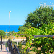 фото из отзыва ID 989686