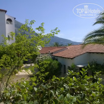 фото из отзыва ID 989867