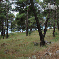 фото из отзыва ID 989907