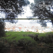 фото из отзыва ID 990133