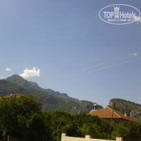 фото из отзыва ID 990337