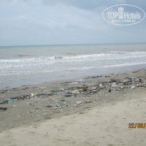 фото из отзыва ID 990495