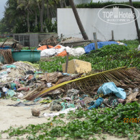 фото из отзыва ID 990495