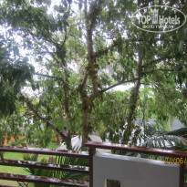 фото из отзыва ID 990495