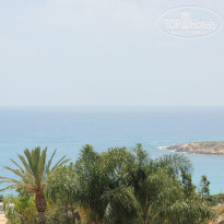 фото из отзыва ID 990524