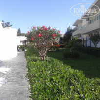 фото из отзыва ID 990279