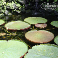 фото из отзыва ID 990336