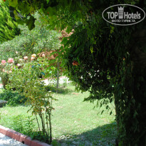 фото из отзыва ID 990417