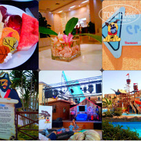 фото из отзыва ID 991098