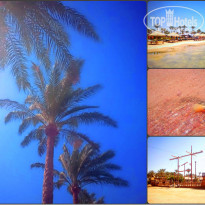 фото из отзыва ID 991098