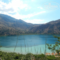 фото из отзыва ID 991239