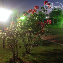 фото из отзыва ID 991245