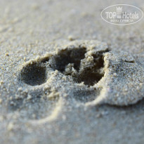 фото из отзыва ID 991389