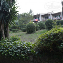 фото из отзыва ID 991521