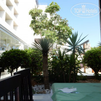 фото из отзыва ID 991627