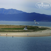 фото из отзыва ID 991656