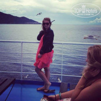 фото из отзыва ID 991656