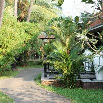 фото из отзыва ID 991661