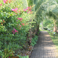 фото из отзыва ID 991661