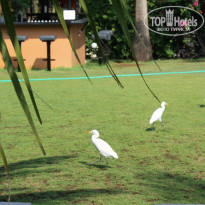 фото из отзыва ID 991661