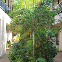 фото из отзыва ID 991661