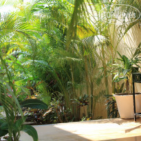 фото из отзыва ID 991661