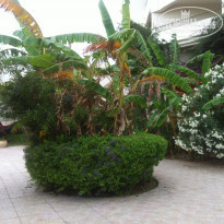 фото из отзыва ID 991353