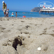 фото из отзыва ID 991744